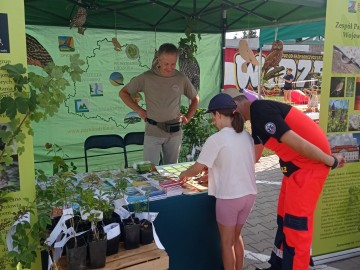 Relacja z Rodzinnego Pikniku w Jeżowie, 